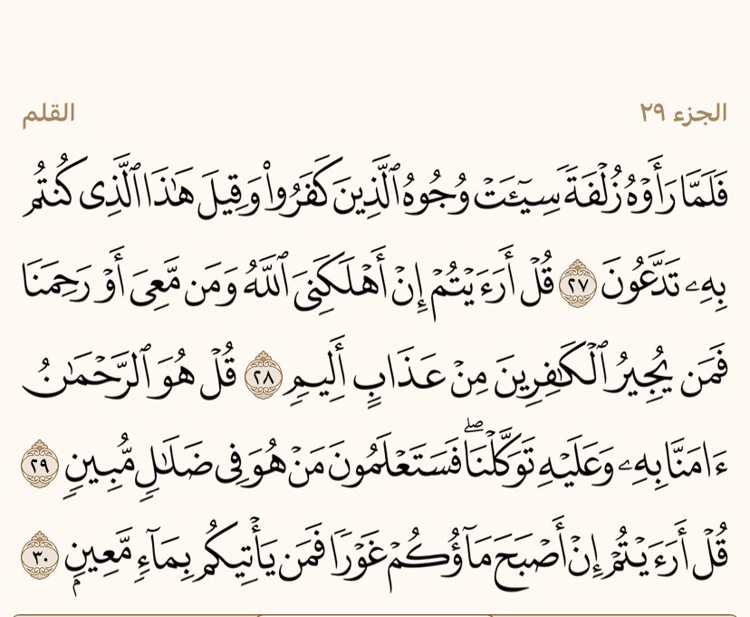 NAIF🖤 tweet media