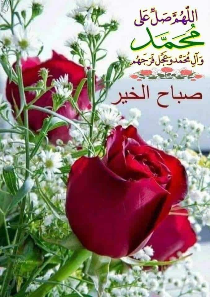 ـ╮───╰🌹╯────╭
اللَّهُــمَّ ᷂صَلِّ ᷂وَسَـــلِّمْ ᷂على ᷂نَبِيِّنَـــا ᷂مُحمَّدﷺ
ـ╯───╭🌹╮────╰
ﷴﷺﷴﷺﷴﷺﷴﷺﷴﷺﷴﷺﷴﷺﷴﷺﷴﷺﷴﷺﷴﷺﷴﷺﷴﷺﷴﷺﷴﷺﷴﷺﷴﷺﷴﷺﷴﷺﷴﷺﷴﷺﷴﷺﷴﷺﷴﷺﷴﷺﷴﷺﷴﷺﷴﷺﷴﷺﷴﷺﷴﷺﷴﷺﷴﷺﷴﷺﷴﷺﷴﷺﷴﷺﷴ