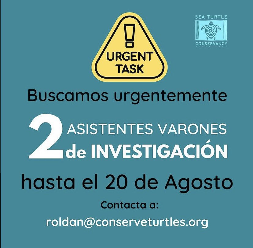 danolicutrim's tweet photo. RT! 🚨 @conserveturtles is looking for 2 Research Assistants with IMMEDIATE incorporation who can join our Biological Station in Tortuguero, Costa Rica, until the 20th of August.

🔗 For more info: https://t.co/8uRIOkOGuV https://t.co/XNNMsIOBD6
