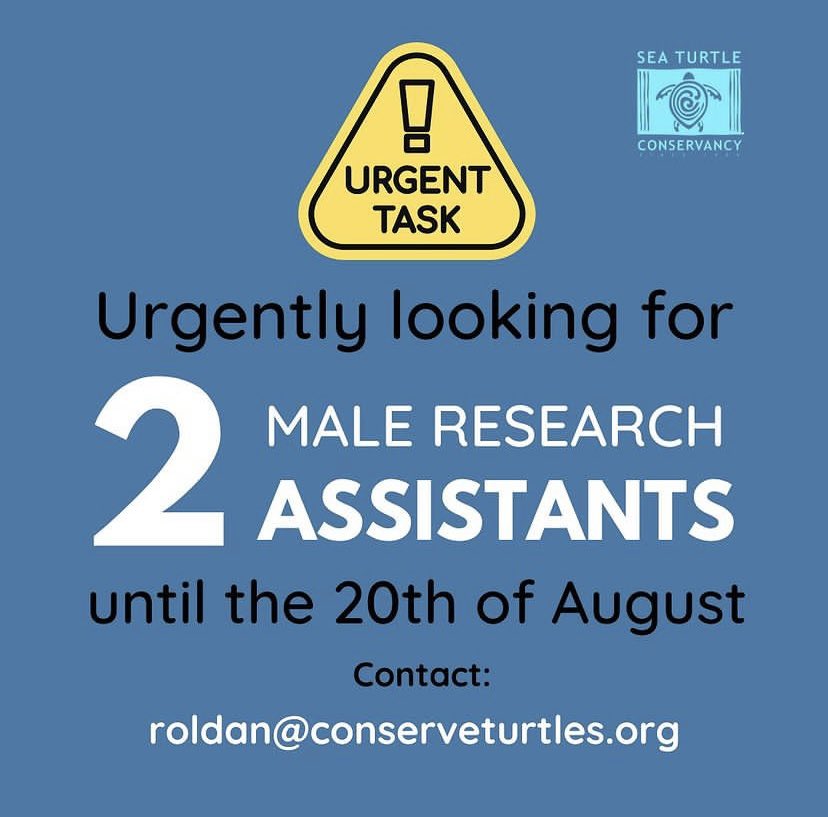 RT! 🚨 <a href="/conserveturtles/">SeaTurtleConservancy</a> is looking for 2 Research Assistants with IMMEDIATE incorporation who can join our Biological Station in Tortuguero, Costa Rica, until the 20th of August.

🔗 For more info: conserveturtles.org/stc-programs-r…