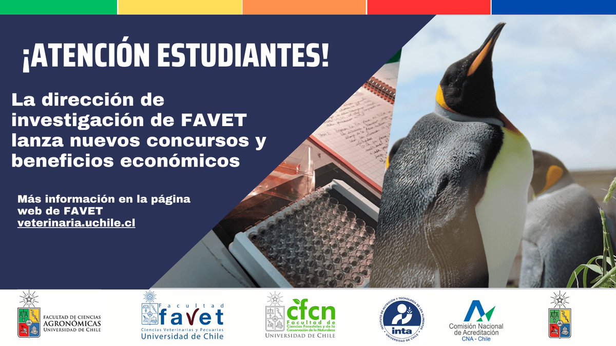 🚨 ¡Atención estudiantes del doctorado! 🚨
La Dirección de Investigación de <a href="/FavetUchile/">Medicina Veterinaria UChile</a>  lanza nuevos concursos y beneficios económicos para estudiantes de nuestro programa que cuenten con un profesor guía de FAVET
uchile.cl/v206657