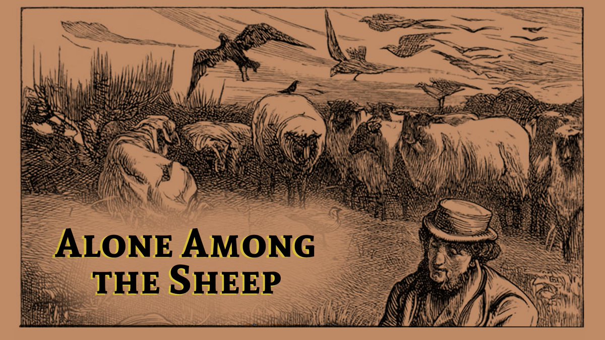 varietal_lit's tweet photo. A write-along stream!

In this Solo TTRPG, You are a solitary shepherd guarding your master’s flock of sheep for the summer.

Will they make it?

Join the writing @ 6:30 pm PST/9:30 pm EST: https://t.co/JpoUFF7D9k

#writingcommunity #litgames #amwriting #writealong #TTRPG #itchio https://t.co/EaDVi2j17Y