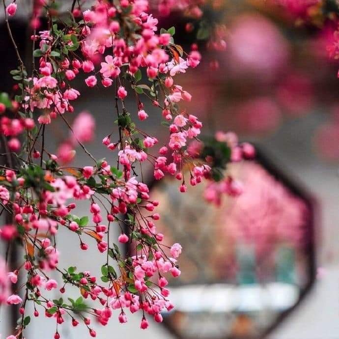 ...

Hayat Şartları 
'DUÂ'sız Yaşamak İçin, 
Hiç de Elverişli Değil..
ALLAH (c.c.),
Gönlümüze de, Dilimize de,
Samimi Duâlar Nasip Eylesin..!

Cumanın Hayrı Üzerimize Olsun...
...