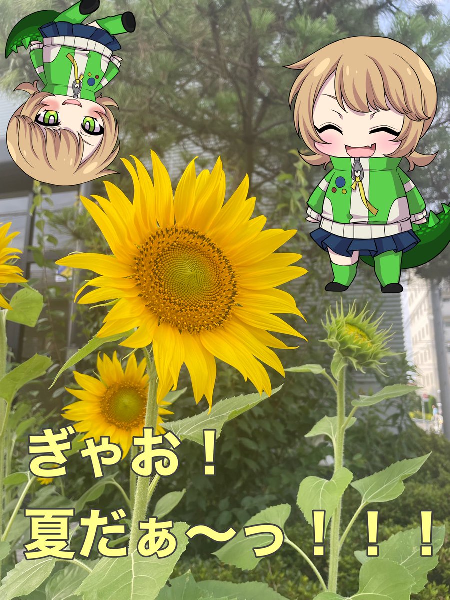 #おはようVtuber
ぎゃおーっ！おっはよー！
マキだぜ！
今朝は家ん中でもわかるくらいセミがシャワシャワ鳴きまくってる！すげー生命力感じるなー！！！
マキも負けじと大号泣しながらお仕事するぜ！！！(情緒不安定)
今日もよろしくなーっ💚