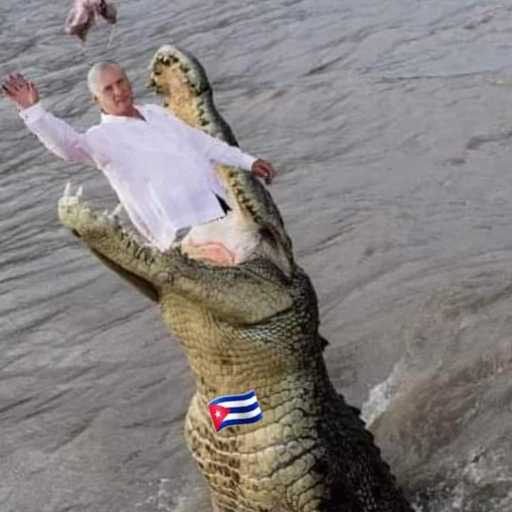 Un día el (caimán 🇨🇺 🐊) se despertará‼️
Cuando muere el miedo, nace la Libertad…
#CubaEstadoFallido
#CambioDeSistema