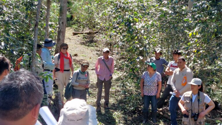 spdaorg's tweet photo. 🌳@OsinforPeru y Autoridad Regional de Amazonas reconocen el potencial de las CUSAF para la región.
▶️Conoce los avances de esta iniciativa para luchar contra la deforestación, que se realiza con el apoyo de #AgroFor.
https://t.co/3pStIRw3ef https://t.co/yS6rydc7XG