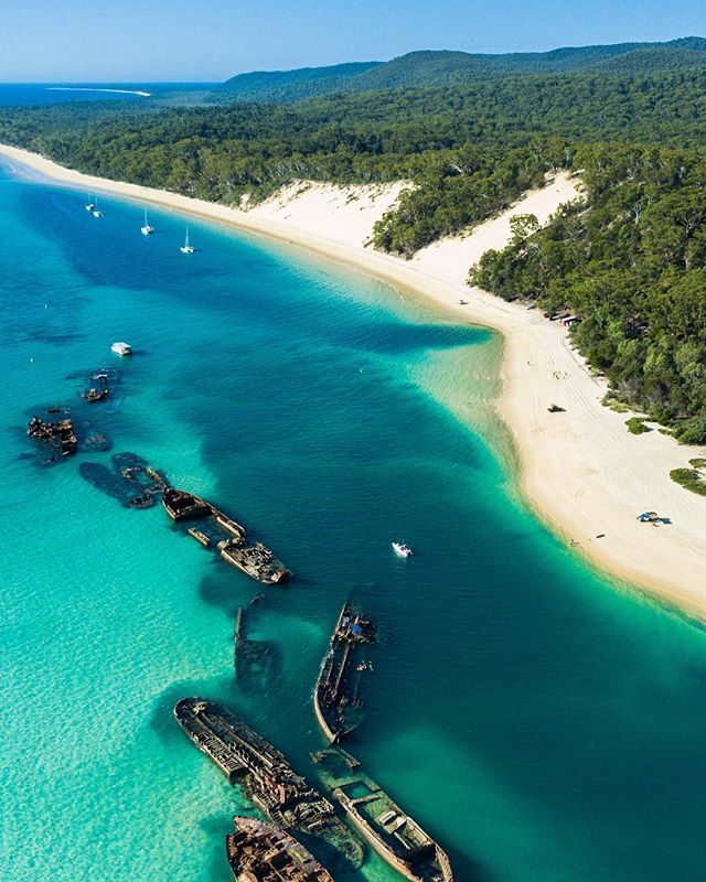 Dr. Michael Barnett-Cowan 🇨🇦 tweet media