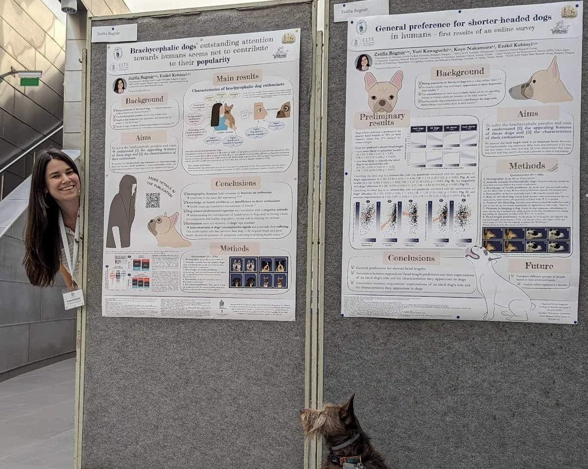 Zsófia Bognár (@zsfiabognr1) on Twitter photo See you tomorrow on the last day of #CSF2023! If you would like to talk about my studies just say hi anytime ☺️ See you tomorrow on the last day of #CSF2023! If you would like to talk about my studies just say hi anytime ☺️