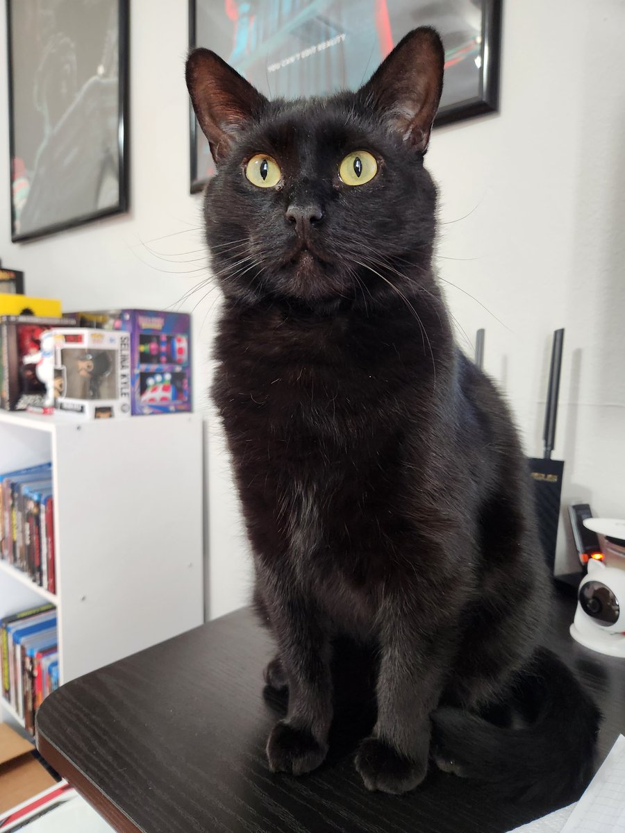 Meagan Navarro tweet media