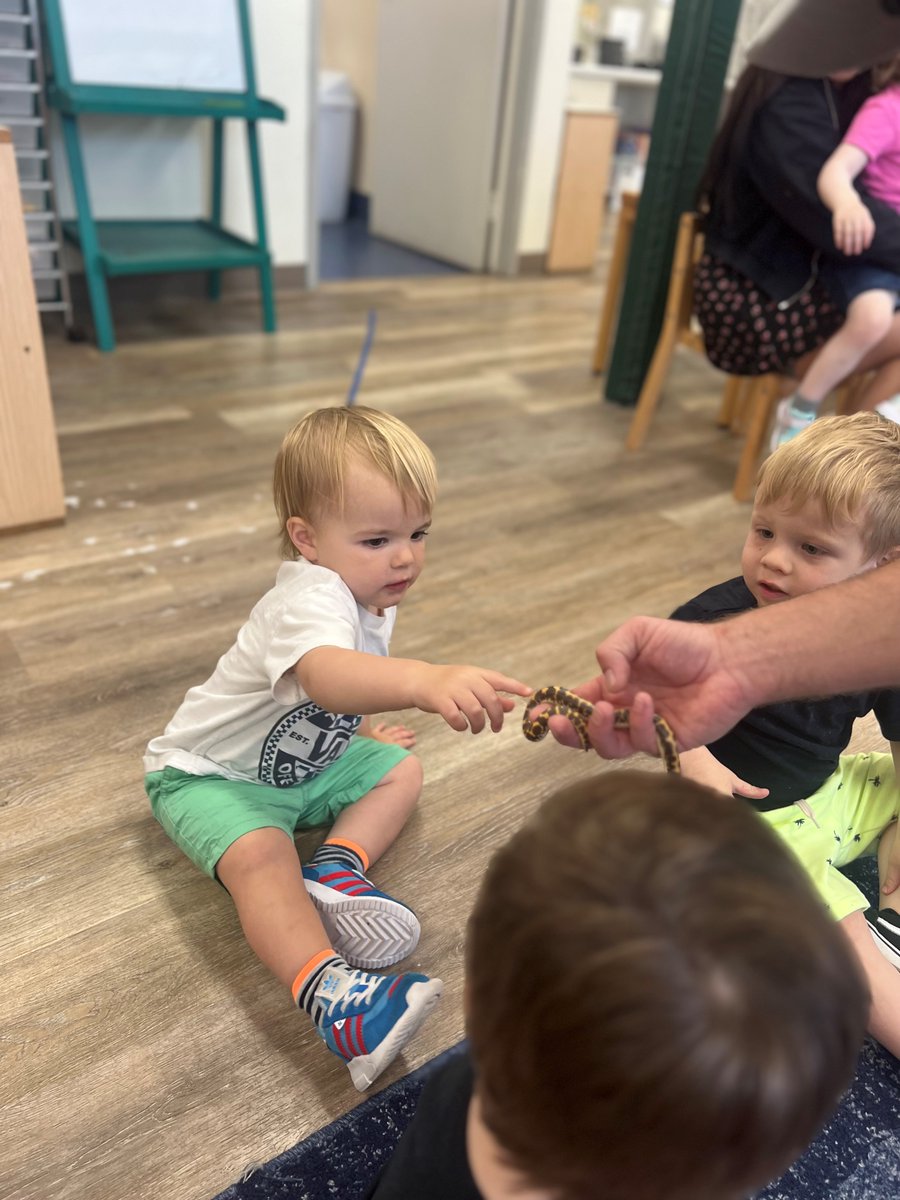 SMA_Vista's tweet image. Today we had a visit from radical reptile and friends. The children had so much fun and were so brave to pet each animal! #RadicalReptiles&amp;amp;Friends
#montessorivistaca #starsmontessoriacademy