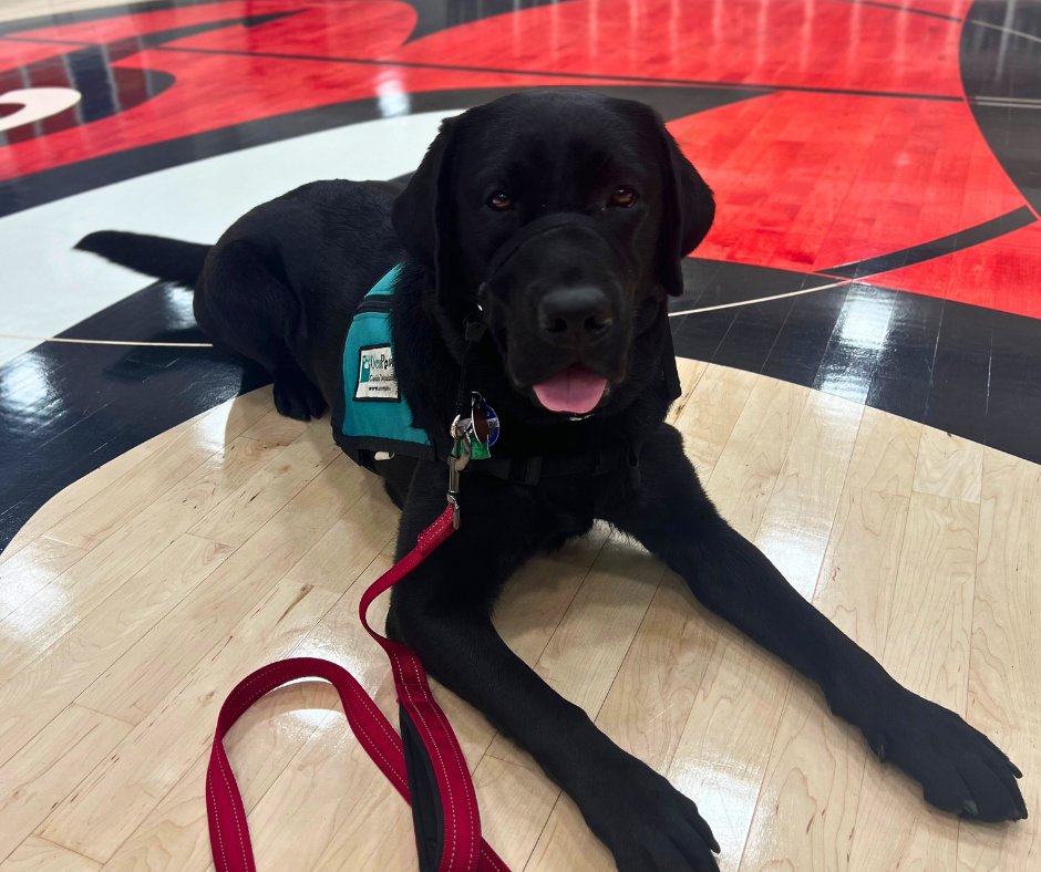 School District of Milton WI tweet media