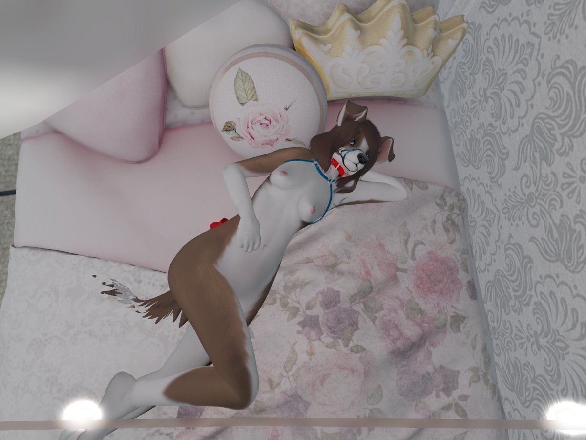 collie_alice's tweet photo. Some new pics I was able to take today
Was really missing take pics in there
#SecondLife #furry #goodpup https://t.co/p2RRt4gNSV