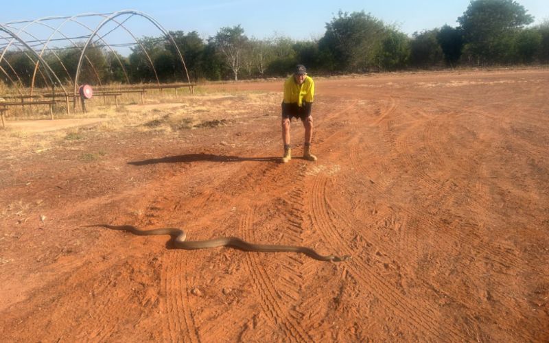 This year is all about #biodiversity for Santanol. Refining the company's Biodiversity Action Plan is key, and all team members can take part in the plan through the Bio-Spot Program -- by recording the biodiversity in the plantations.
bit.ly/44Bar1W