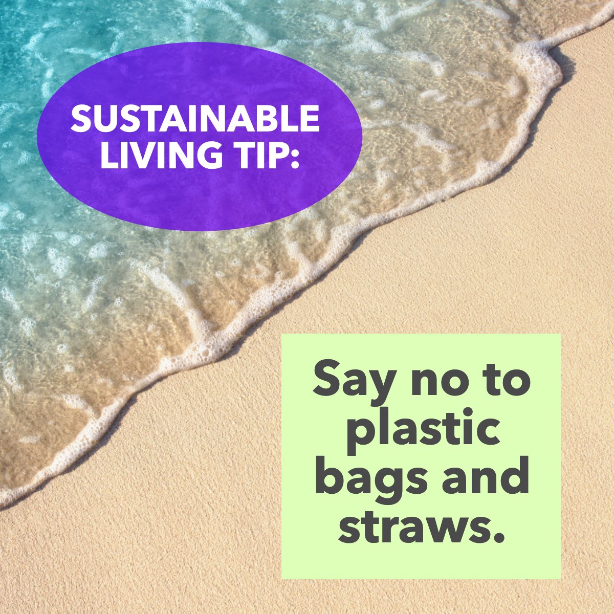 'Never doubt that a small group of thoughtful, committed citizens can change the world; indeed it’s the only thing that ever has.'
– Margaret Mead

#sustainablelifestyle    #sustainable    #sustainablity    #noplastic    #savethebeaches 
#realtor #realtorlife