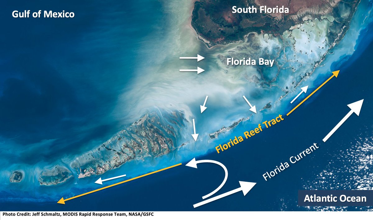 Carly Kenkel tweet media