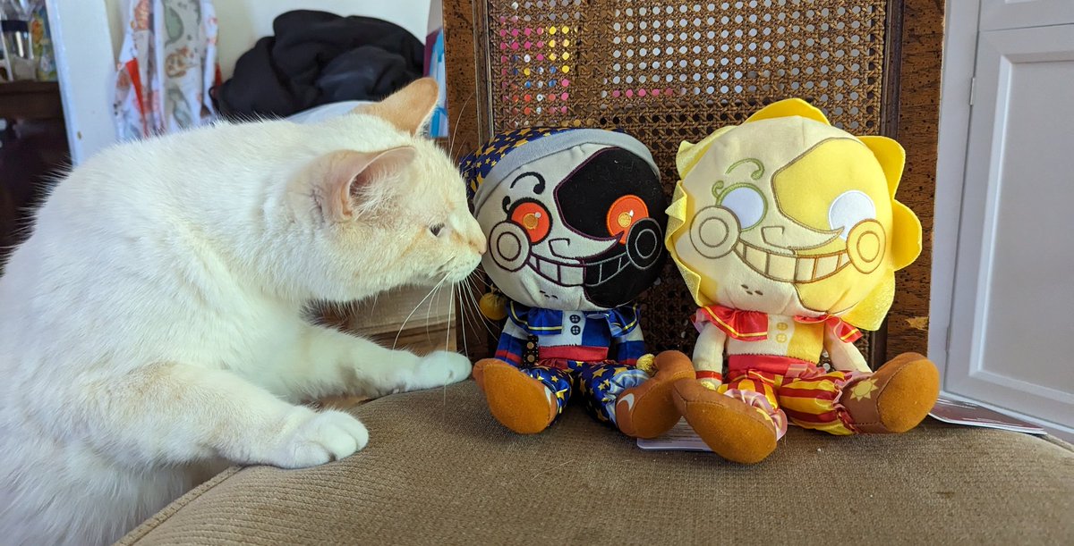 MY BOYS ARE HERE!! 🥰 and Steven had to give them a sniff 😳