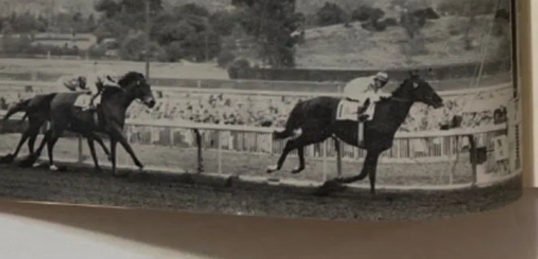 HORSERACING1002's tweet image. JOE JONES🇺🇸1950
(STYMIE - MOON MAIDEN BY CHALLENGER II)
#JoeJones
#DurableJoe
B/O Jacobs Stable 1950. Gelding.
T/ Hirsch Jacobs. 
175-34-40-32--
$423 567
Fort McHenry H, Bay Shore H, Sport Page H(2), John B.  Campbell Memorial H,  Vosburgh H, Bowie H, Lincoln Special H, Bowie H,