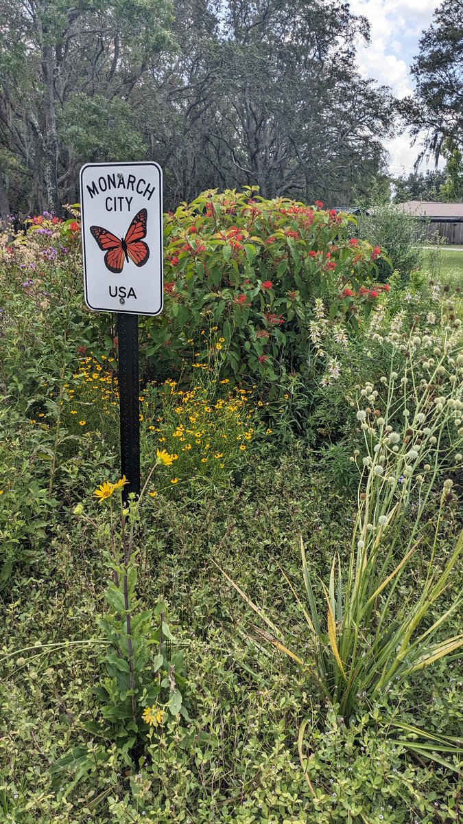 Scanadaz's tweet photo. Decided to go out and touch grass https://t.co/AAlqBPxARK
