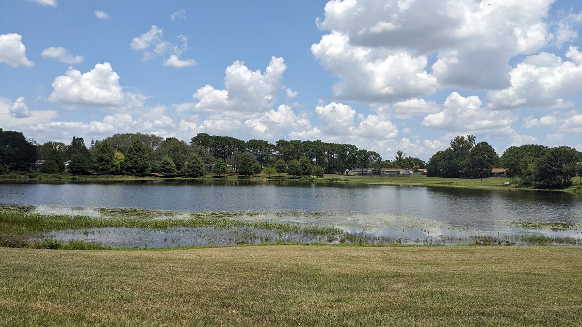Scanadaz's tweet photo. Decided to go out and touch grass https://t.co/AAlqBPxARK