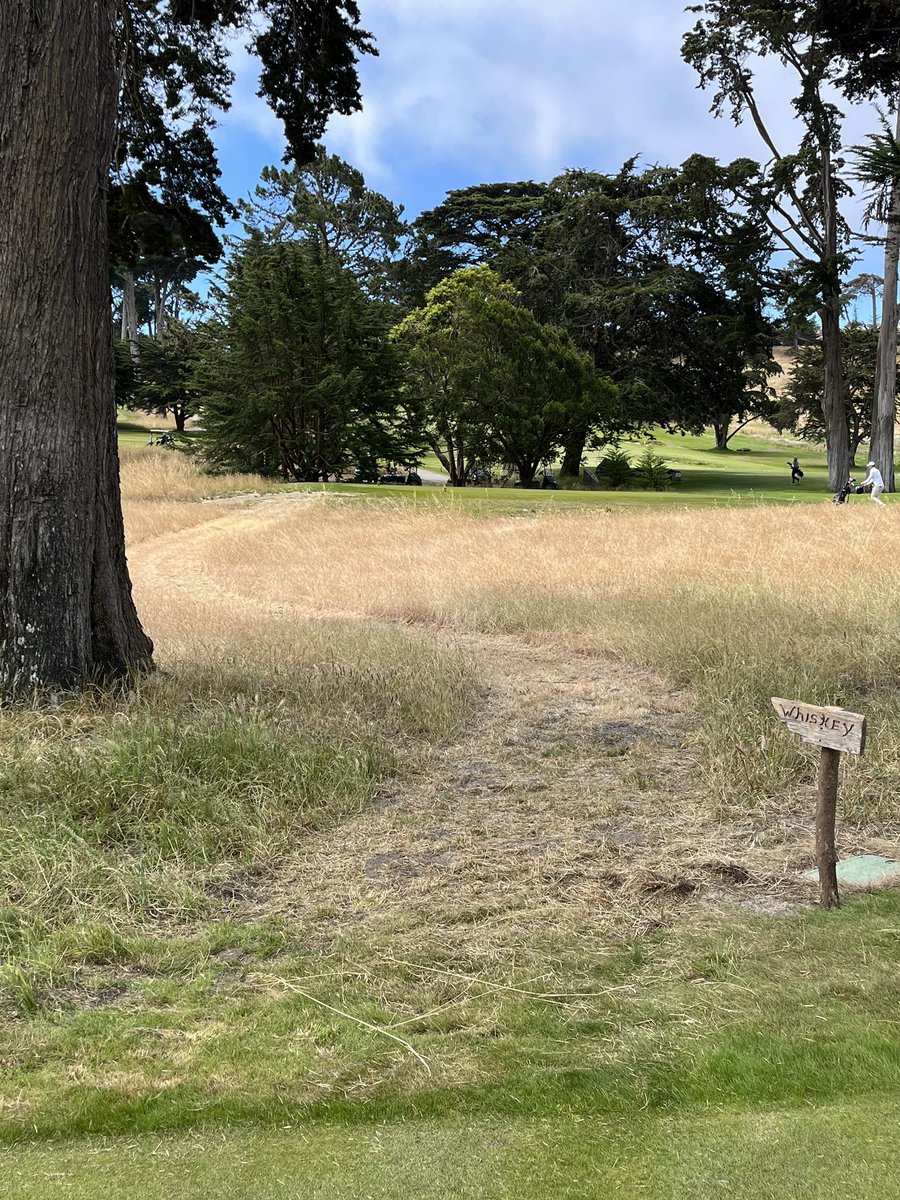 Javier Campos tweet media