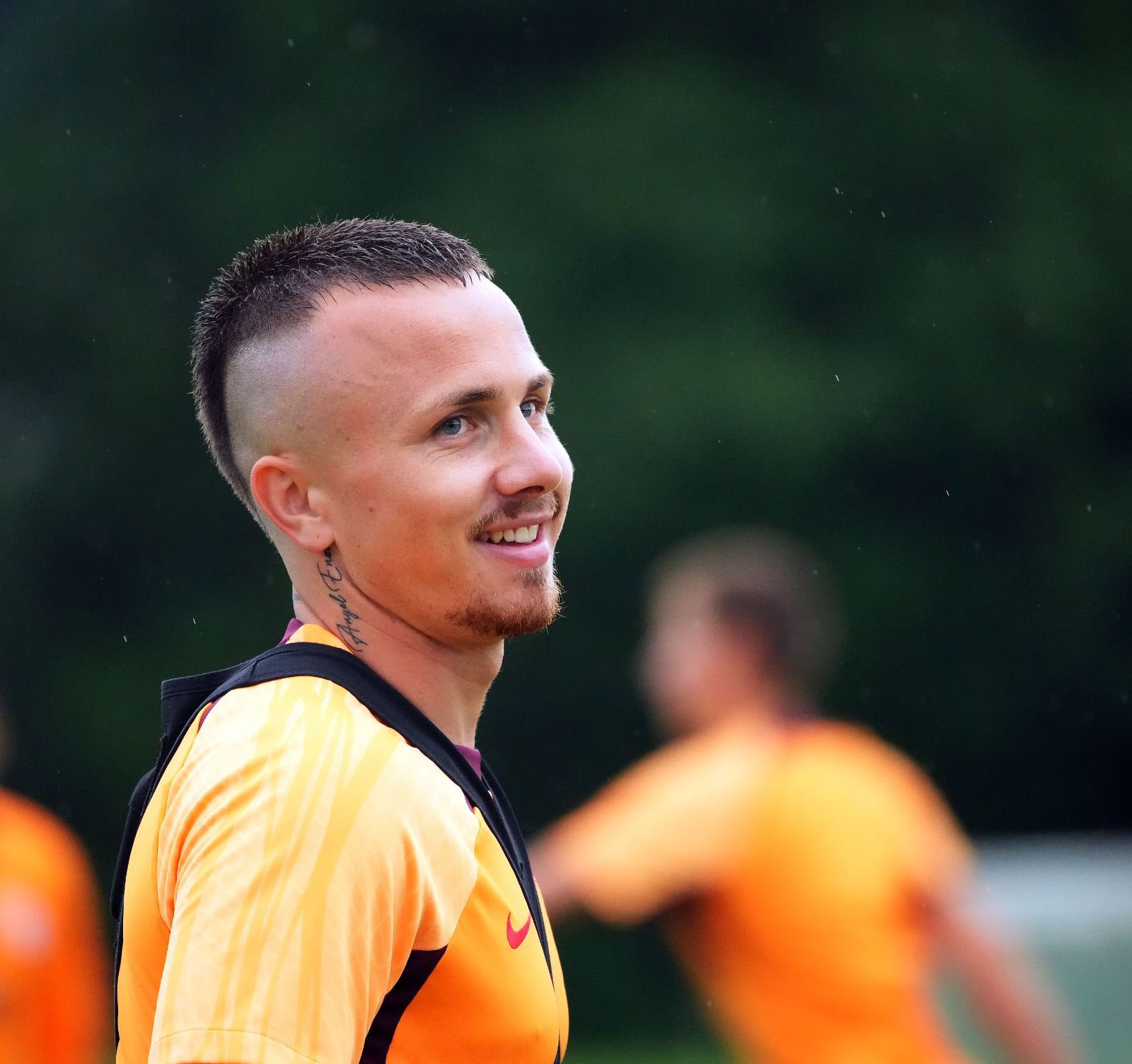 angelino