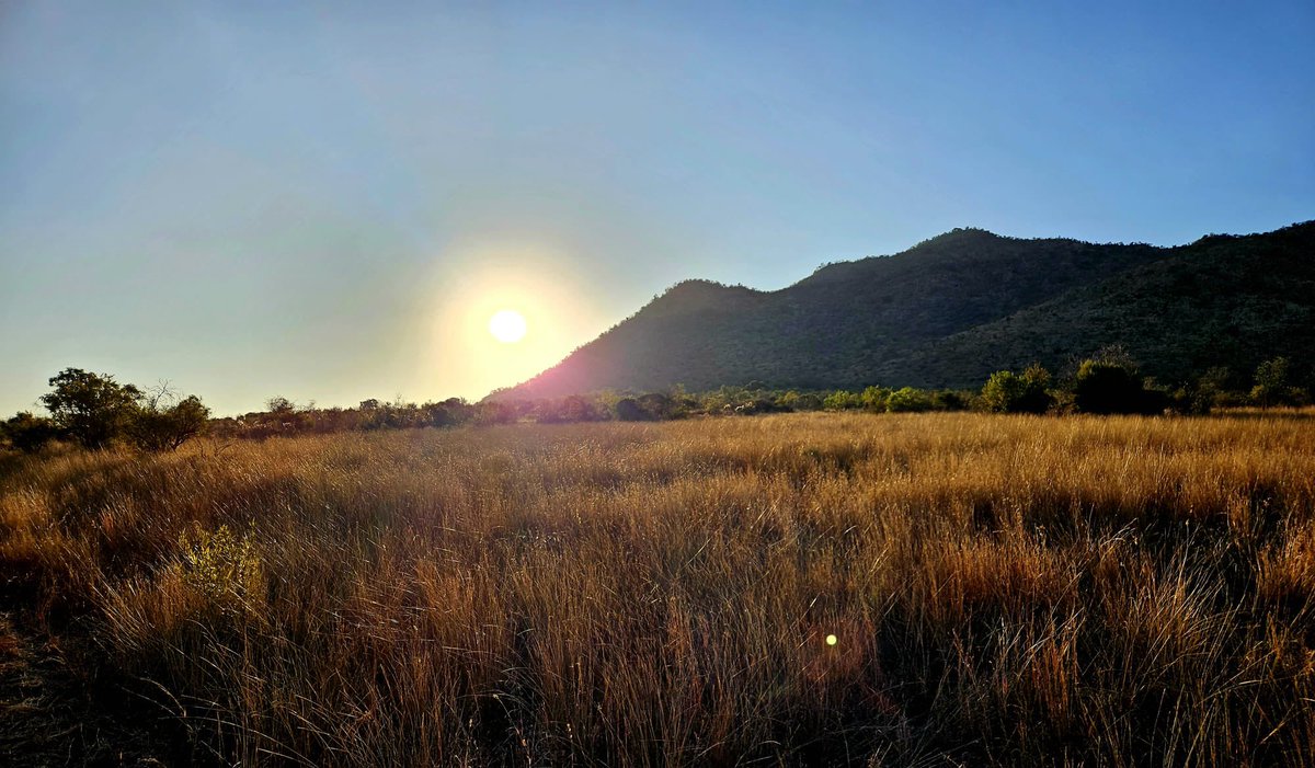 wghs_pe's tweet photo. @WGHSYorkshire @KwaMaritaneSA What a day! Lions 🦁 elephants 🐘 hippos 🦛 a mummy and baby giraffe 🦒 to name a few of the incredible sights we have seen today. An experience that will last a lifetime ❤️ #SouthAfrica https://t.co/ws5wR0Znap