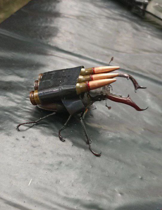 Xaniken's tweet photo. The US government gave me $23 million to create a super weapon for Ukraine and this is the prototype I’ve sent them since I blew it all on drugs https://t.co/FYs1XlMBFI
