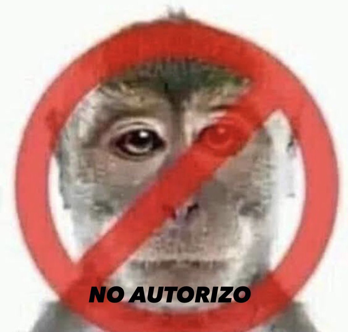 DreamOfGuate's tweet photo. ❌❌¡NO AUTORIZO!❌❌

NO AUTORIZO EL GOLPE DE ESTADO EN GUATEMALA

🚫🚫¡ NO AUTORIZO!🚫🚫
 
COMPARTILO EN TU MURO SI NO AUTORIZAS❌ https://t.co/Hq2zB9W9zi
