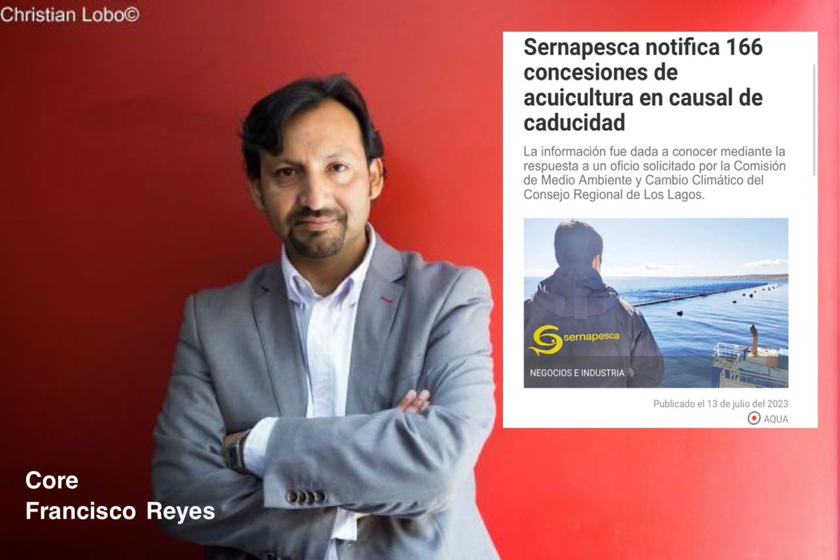 DefendamsChiloe's tweet photo. Core Francisco Reyes señaló hoy en radio Bio Bio que como presidente de comisión de medioambiente, exigirá que se cumpla la ley con las concesiones salmoneras que deben caducarse .

👉🏻Por fin una autoridad política que pide lo obvio: que se cumpla la ley 

👏👏👏👏

@nico_grau @julio_salas @max_proano @GaloEidelstein @pvallespin @Giovimoreira @JaimeSaezQuiroz @abernales @hector_ulloaa @Fernandoborquez @DPPChiloe @vecinoreyes 

@ChiloeMinga @ChiloeOng @TerramChile @RewildingChile @max_bello_m @OceanaChile