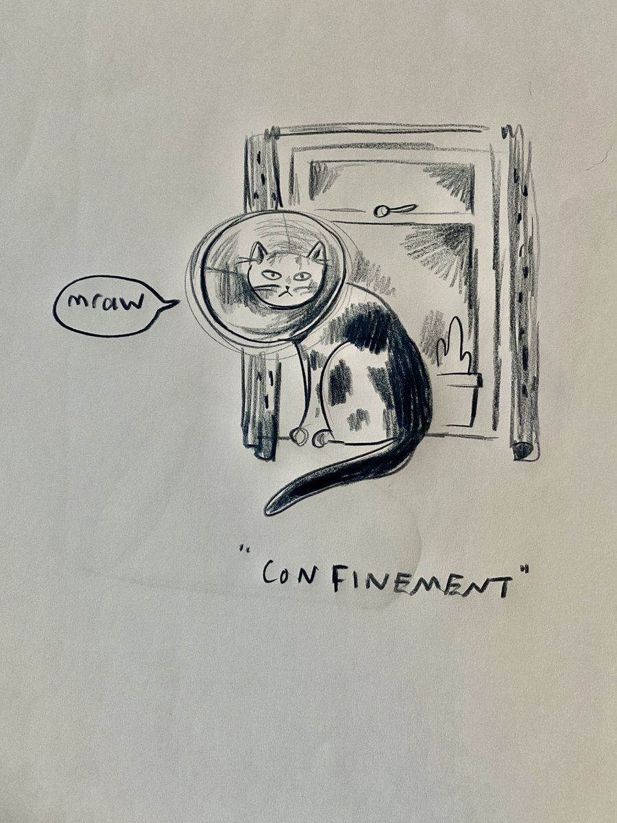 Theme 1 ‘confinement’ #goshbfdd