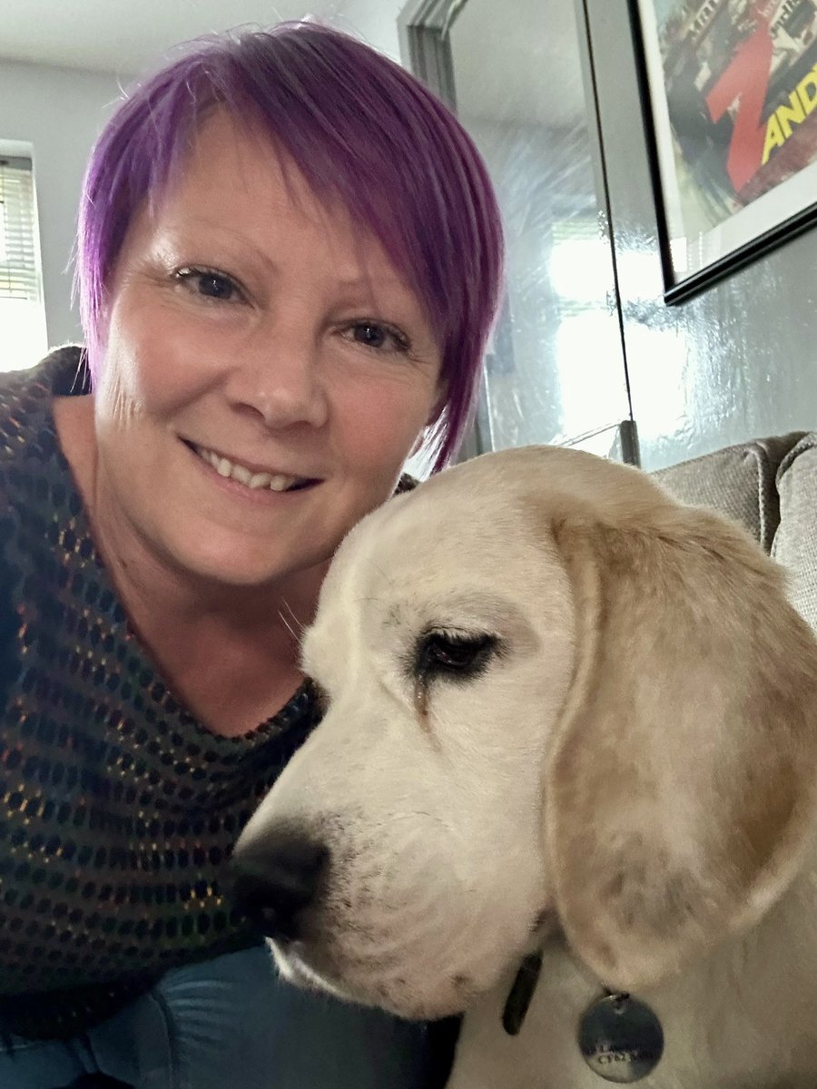 susiebear78's tweet photo. Hurray for Thursdays… #Beaglenight https://t.co/yktYuoGcSG