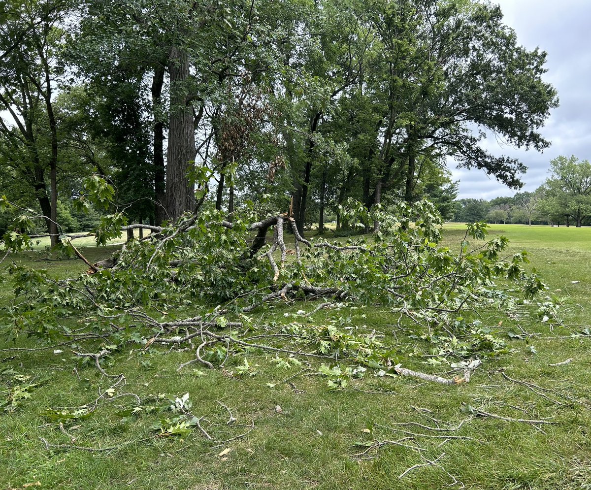 cookie8010's tweet photo. Yesterday’s storm downed a dozen or so majestic trees at Lake of the Woods Golf Course in Columbia, Mo. My nemeses are still standing strong. So there’s that! @KOMUnews @KRCG13 @CoMissourian @columbiatribune https://t.co/6IRDSOjOOB