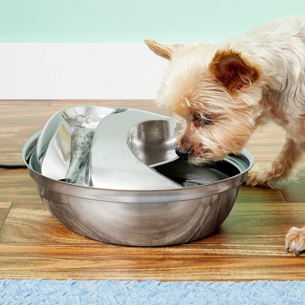 Discover the wonders of wet foods, moisture-rich toppers, and fountains to ensure your four-legged friend stays happy, healthy, and hydrated all season long. Learn more: l8r.it/JuDt Shop hydrating products: l8r.it/DFOq #petfoodexpress #pethydration