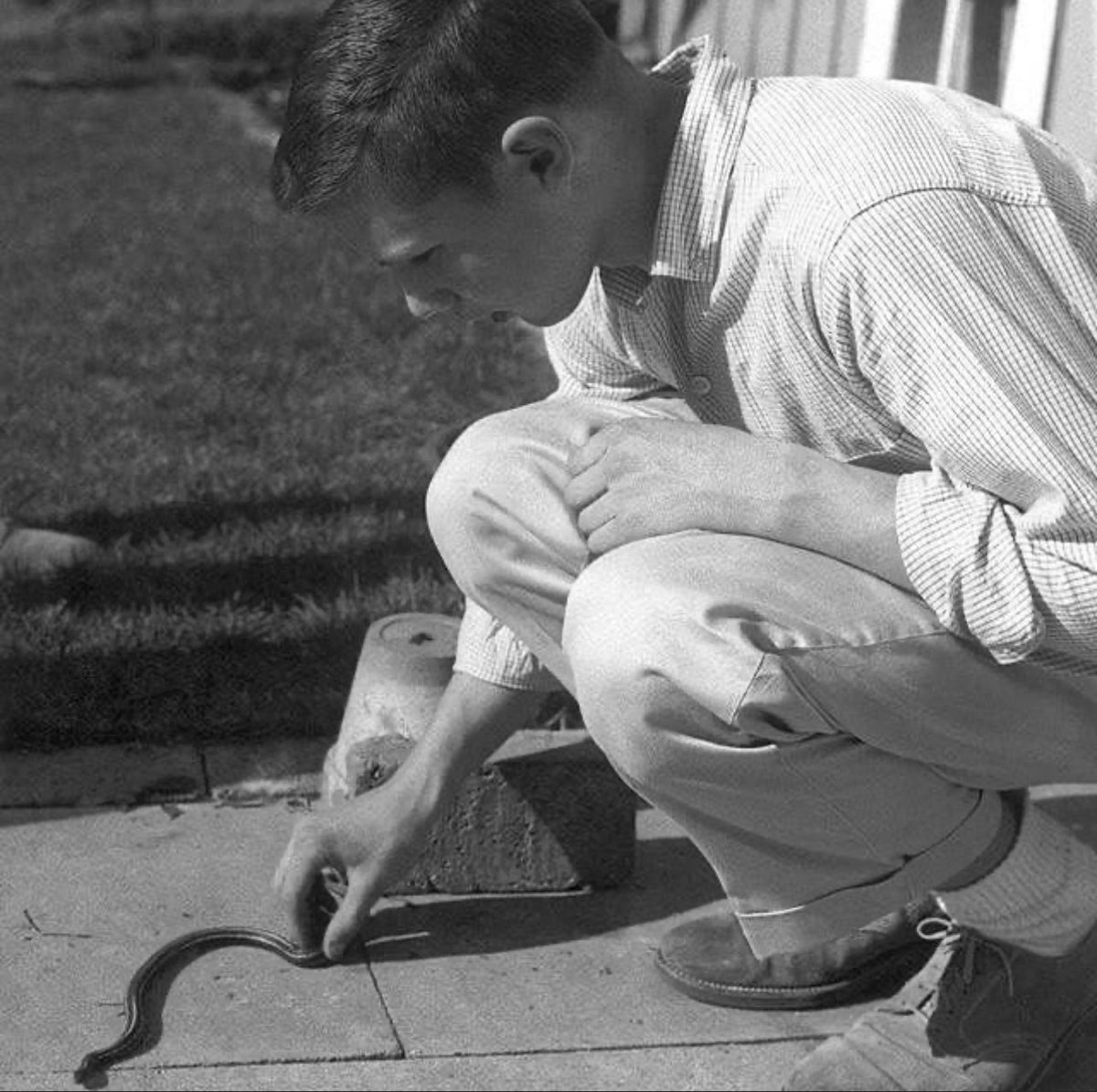 Happy birthday to the man himself, the living legend, who’s son Ben recently said: contrary to popular belief, Harrison does not hate snakes. 
We can see him here.. snakes why they had to be snakes.. 
¡thank you for the eternal inspiration!
#HappyBirthday #HarrisonFord
