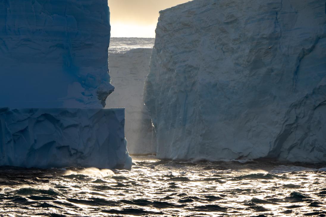 We found plenty of southern right whales and Gentoo penguins at the start of the #WinterKrillProject midwinter survey, South Georgia <a href="/BAS_News/">British Antarctic Survey 🐧</a> <a href="/polarbiome/">Jennifer Jackson</a>