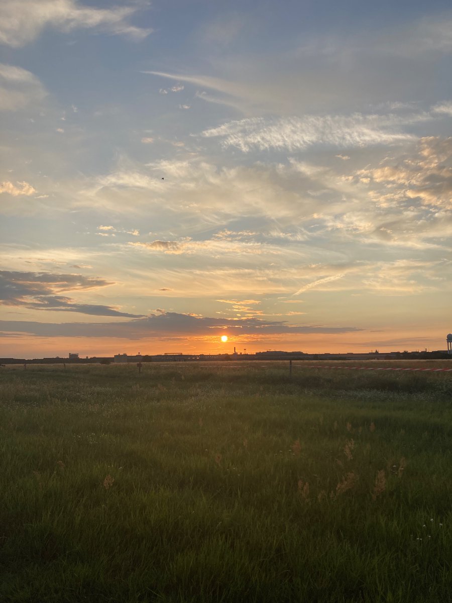 #tempelhoferfeld #thfbleibt 🏃‍♀️🤩