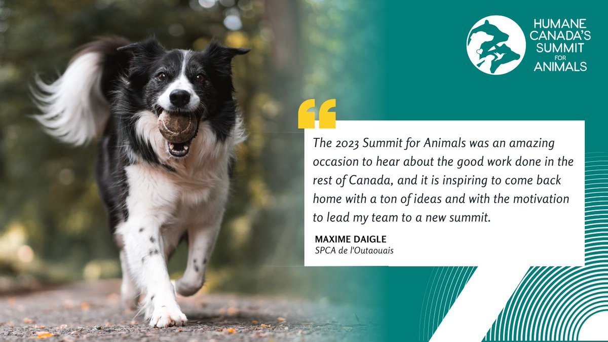 Maxime, Executive Director at <a href="/SPCAOutaouais/">SPCA de l'Outaouais</a> was inspired to lead his team to new heights after attending our #SummitForAnimals in May. You can join us in Halifax in 2024. Add your name to this list, &amp; don't miss any updates: mailchi.mp/humanecanada/s…. Registration opens this fall