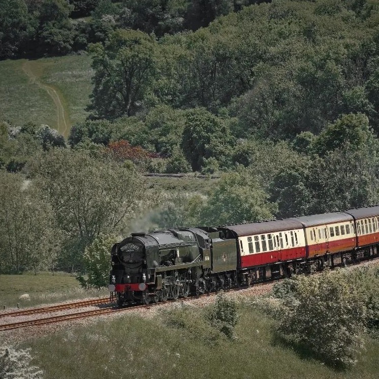 Steam Dreams Rail Co tweet media