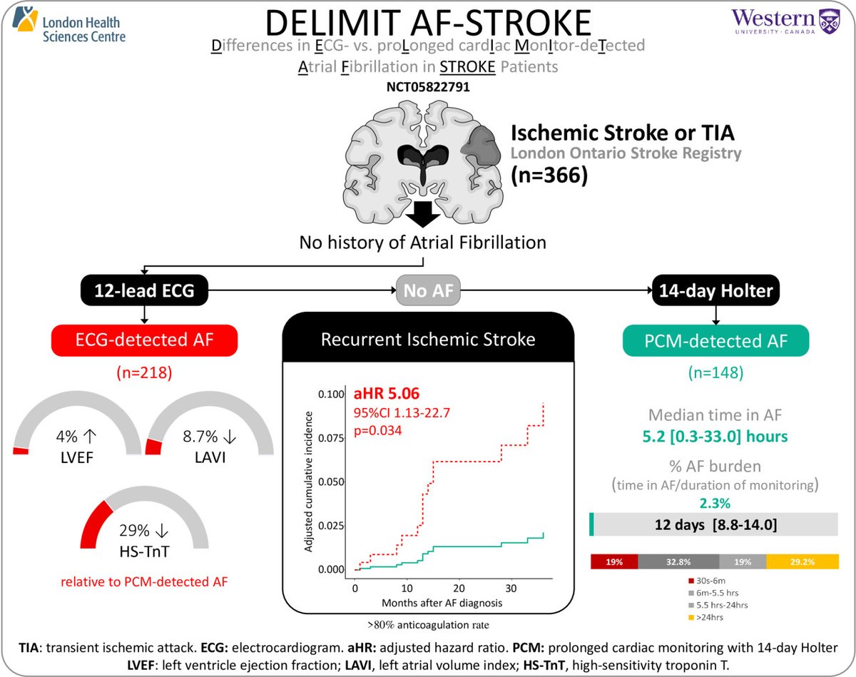 Stroke AHA/ASA (@strokeaha_asa) on Twitter photo #STROKE Atrial fibrillation #AF detected by #ECG is associated with 5-fold higher risk of recurrent ischemic stroke compared to #AF detected by prolonged cardiac monitoring. ahajrnls.org/3OfmcWs <a href="/AlonsoA66046830/">Alonso Alvarado</a> <a href="/DianaAyan77/">Di</a> <a href="/BogiatziChrysi/">Chrysi Bogiatzi</a> <a href="/MeryBresB/">Maria Bres Bullrich, MD</a> <a href="/friseb/">friseb</a> <a href="/SposatoL/">Luciano Sposato 🇦🇷🇨🇦</a> #STROKE Atrial fibrillation #AF detected by #ECG is associated with 5-fold higher risk of recurrent ischemic stroke compared to #AF detected by prolonged cardiac monitoring. ahajrnls.org/3OfmcWs <a href="/AlonsoA66046830/">Alonso Alvarado</a> <a href="/DianaAyan77/">Di</a> <a href="/BogiatziChrysi/">Chrysi Bogiatzi</a> <a href="/MeryBresB/">Maria Bres Bullrich, MD</a> <a href="/friseb/">friseb</a> <a href="/SposatoL/">Luciano Sposato 🇦🇷🇨🇦</a>