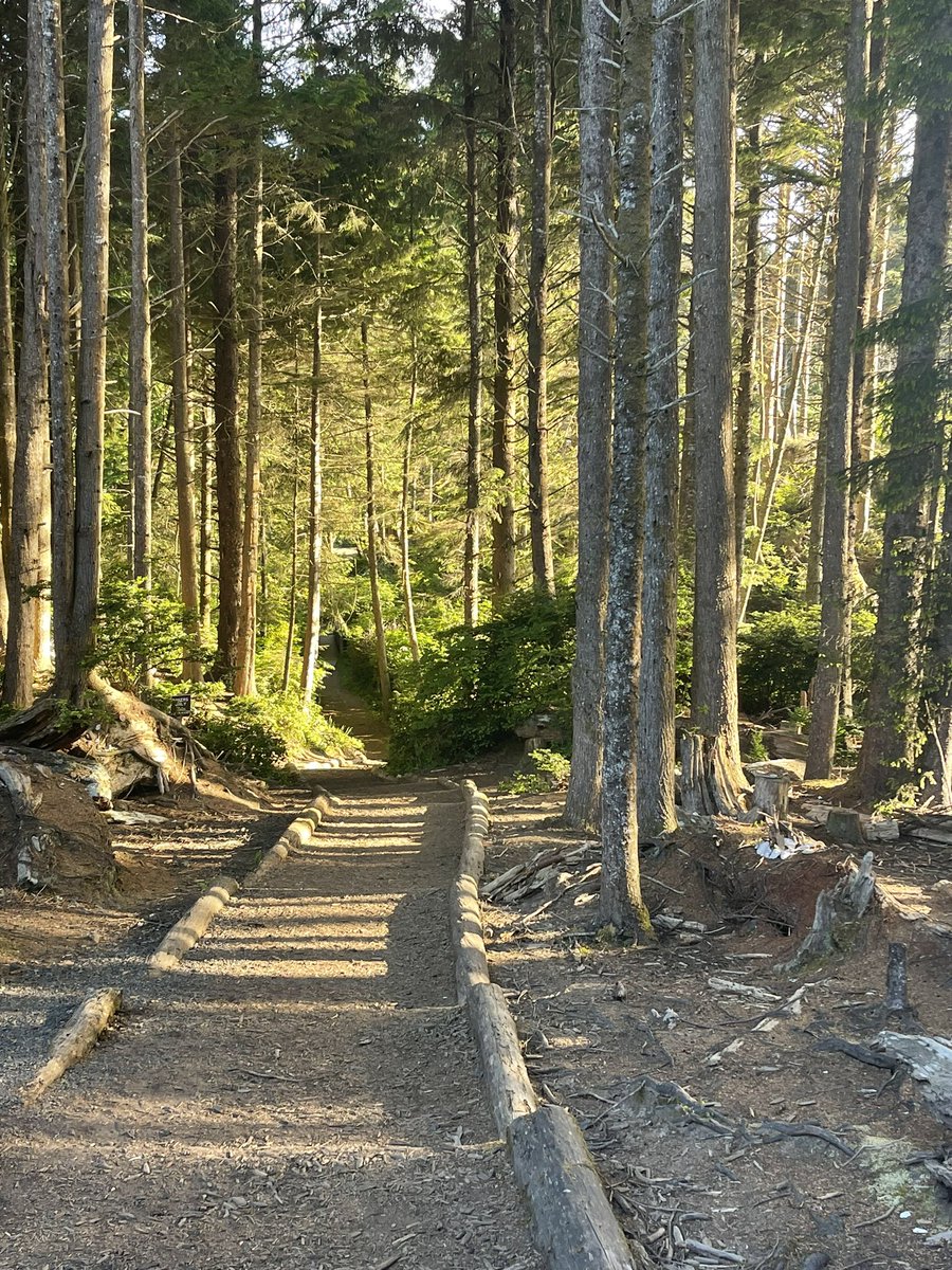 WriterRowland's tweet image. If you are looking for a fabulous writing retreat, look no further than the fabulous @mbrockenbrough What a magical experience she and Melissa Manlove provided. So thankful to experience it with @TashaTripplett @rachelmwonders @lislhd @angelemcquade ❤️#SeabrookWA #writingretreat