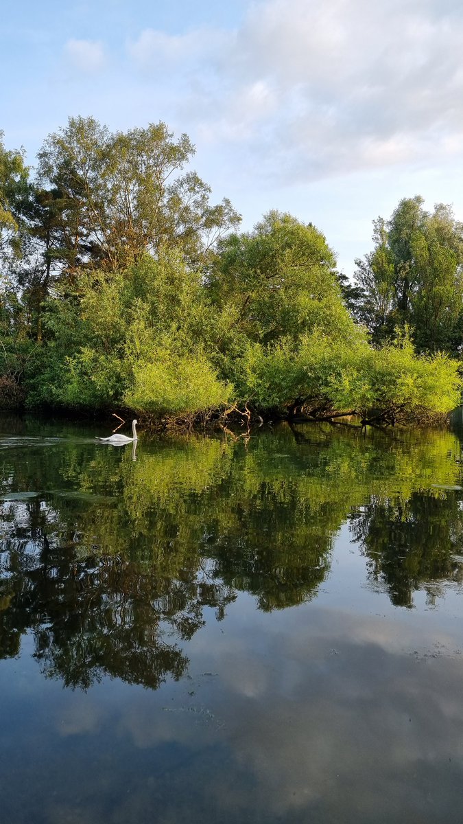 Massoud2121's tweet image. Had a nice couple of hours up at my local lake 🙂

#parkhalllake #swanphotography #outforawalk #chilltime #photography #photographer #stokeontrent #uk