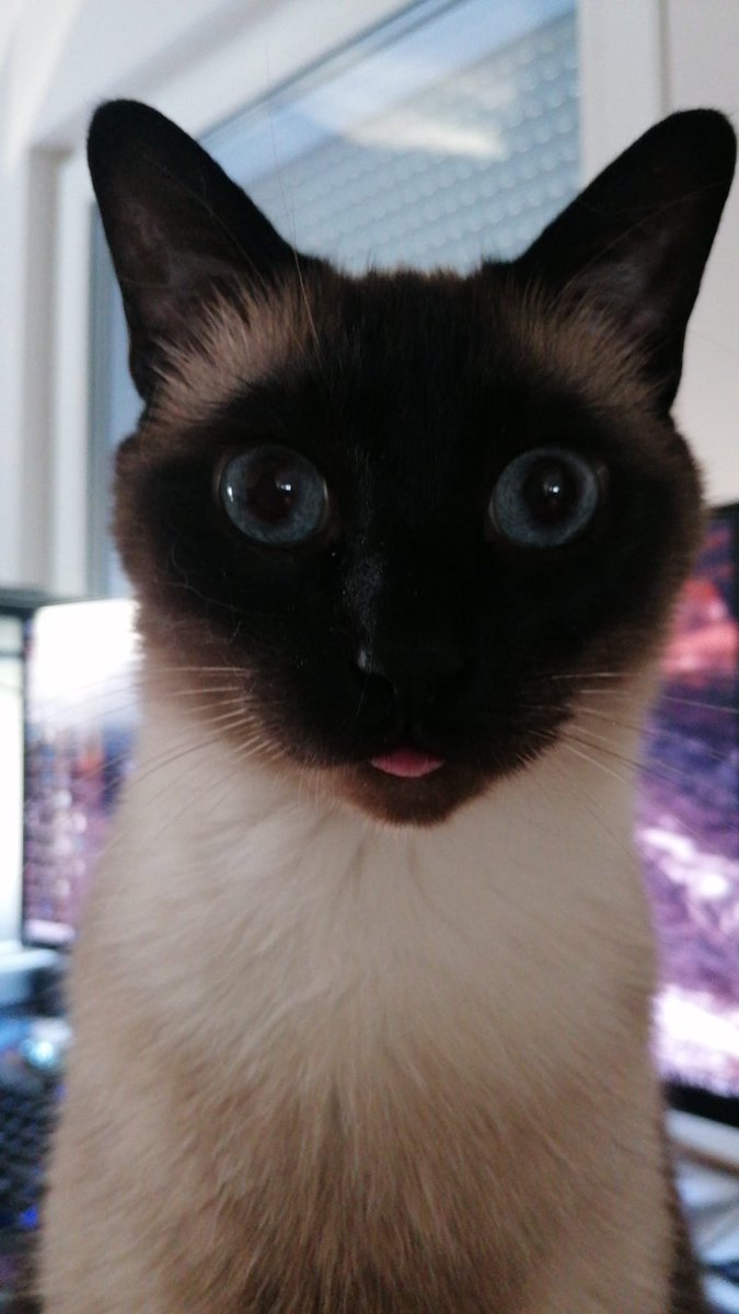 Nacira_x's tweet photo. @xPandorya Kater.exe stopped working.... https://t.co/gAKOuV25Gx