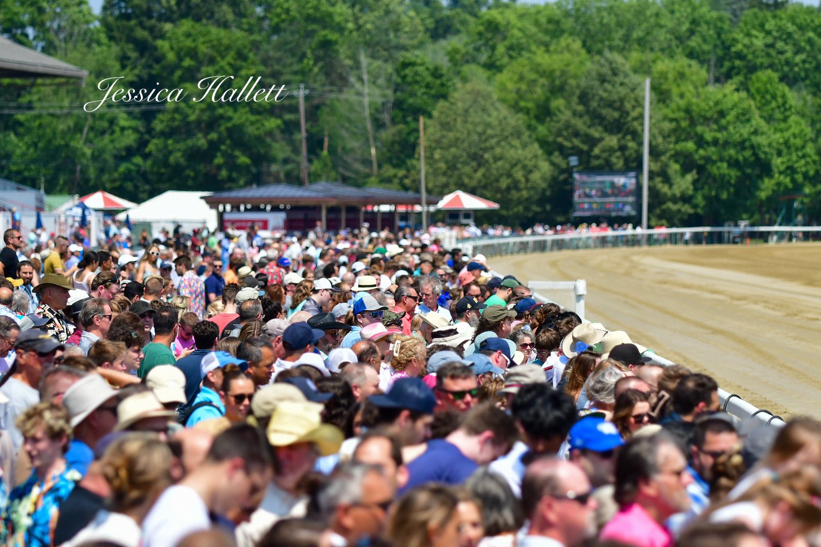 Jessica Hallett on Twitter "This is unreal. Opening day at Saratoga 