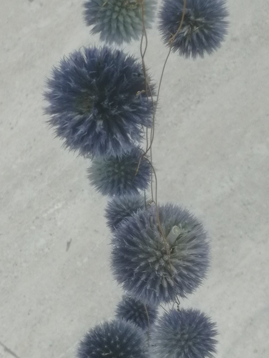 CultureMK tweet media