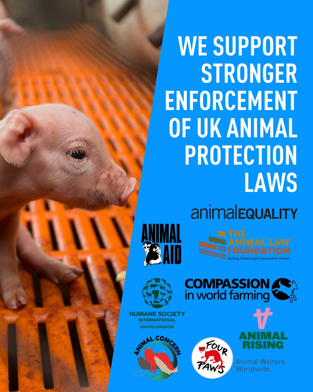 Animal Rising on Twitter: