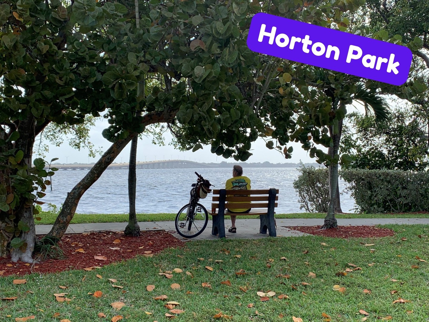 Cape Coral P&R on Twitter "Evidence shows that parks are cooler than