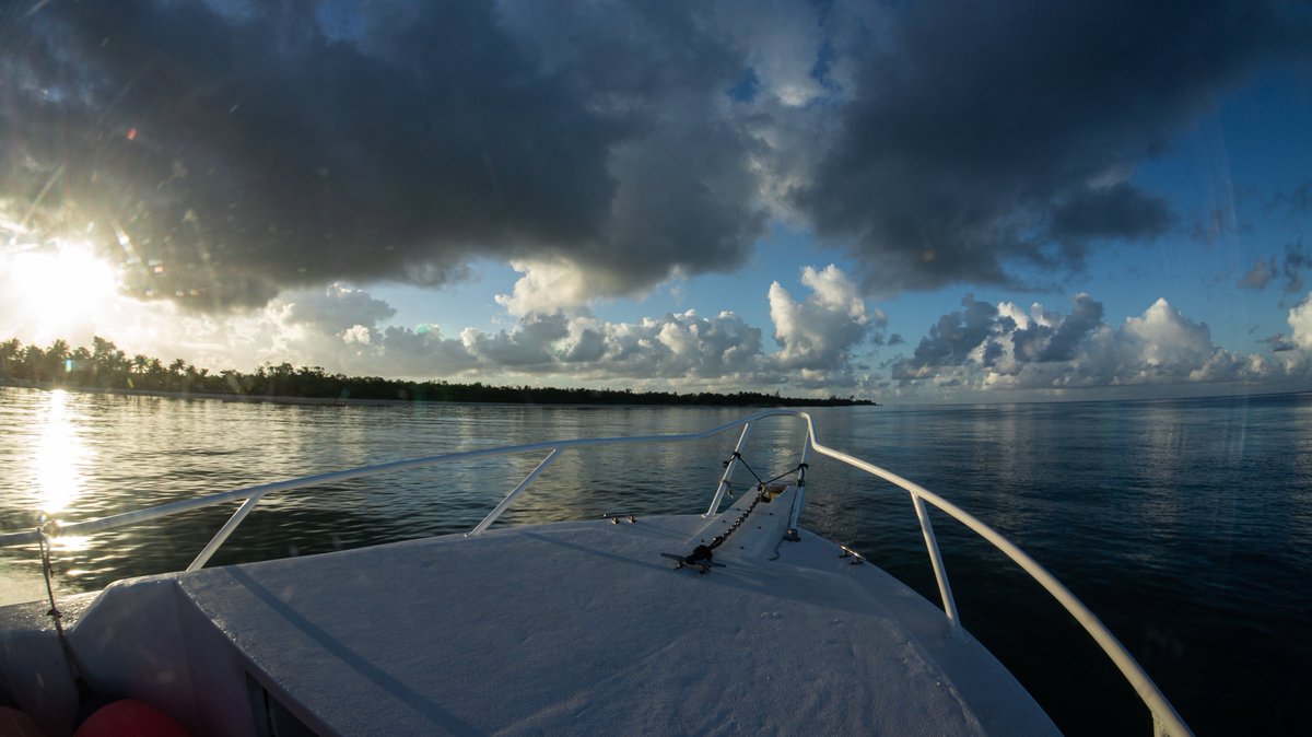 DiveParadise_Cozumel tweet media