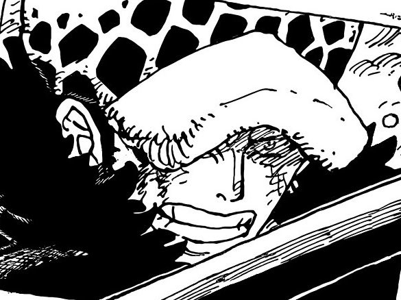 onepiecepanel's tweet photo. Luffy and Law https://t.co/nghmLiGmFf