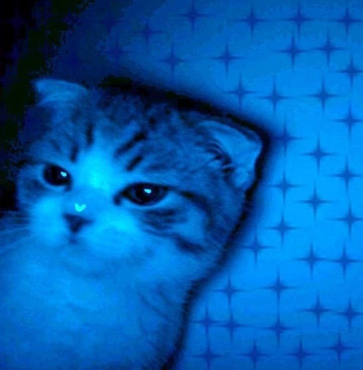 Ваша няшка умерла.
Шучу. Сил нет, дни настолько насыщенные, что я под вечер как жижа! Тут ахуенно