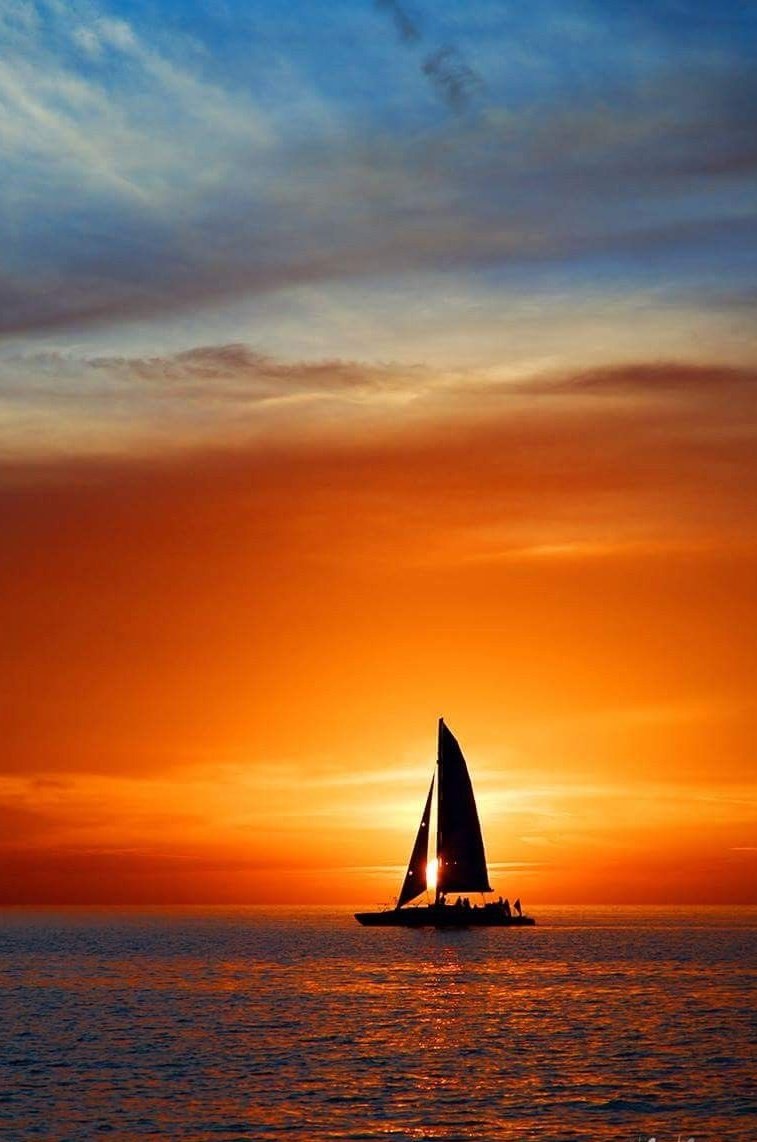 Eternal Student 👩🏻‍🎓✌🏻 NO DM 🙏🏻 tweet media